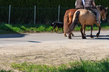 güneşli bahar tatile binme birkaç