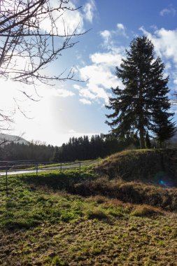mavi gökyüzünde şehir Münih ve stuttgart yakınındaki güney Almanya kırsal kırsal Aralık advent güneşli günde ağaçta