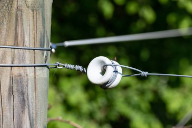 bahar güneşli gün çitte elektrik mera kırsal Güney Almanya güzel manzara