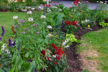 çiçekler bahar güneşli gün tarihi Alman Park