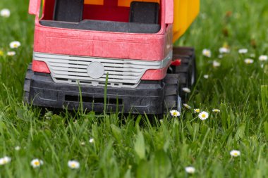 Model kazıcı ve yeşil kamyona sarı çiçekler bir güneşli bahar gününde çimen