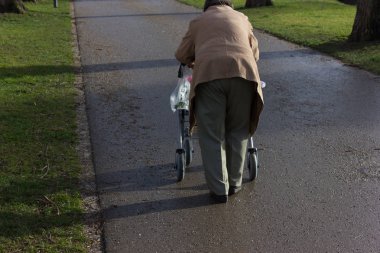 Güney Almanya Münih ve şehir stuttgart yakınındaki tarihi kent Park güneşli kış Ocak öğleden sonra üzerinde rollator ile üst düzey Bayan