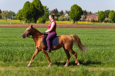 Binicilik bahar Alman kırsal kesimde kadın.