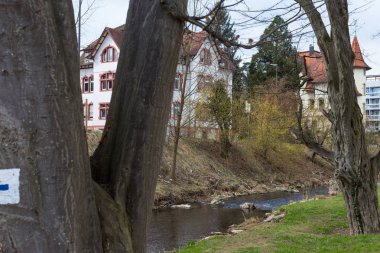 Şehir Parkı Doğu İlkbahar, Güney Almanya tatil zamanı simgesiyle ağaçlarda