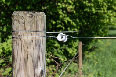 bahar güneşli gün çitte elektrik mera kırsal Güney Almanya güzel manzara