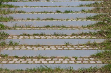 patika boyunca riverside adlı Doğu Güney Almanya kırsal tatil ilkbaharda