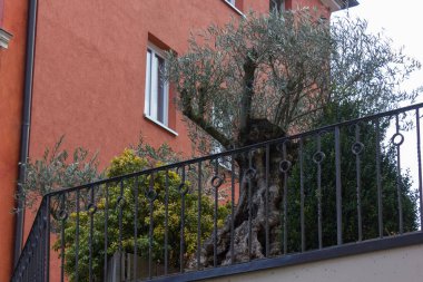 Güney Almanya doğu bahar bir mavi gökyüzü güneşli akşam tarihi şehir cepheler