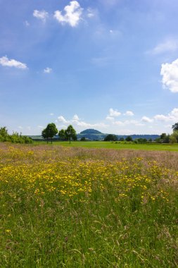 mavi gökyüzü güneşli güzel bahar çayır çiçek Güney Almanya'da geniş görünüm