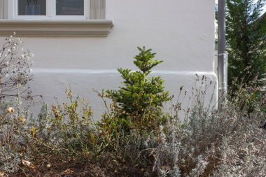 Kent Doğu ilkbahar Güney Almanya tarihi şehirde peyzaj