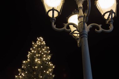 bulanık Noel Noel ağacı şehrin güney Almanya Münih ve stuttgart yakınındaki Aralık akşam tarihi satış alanı'nda