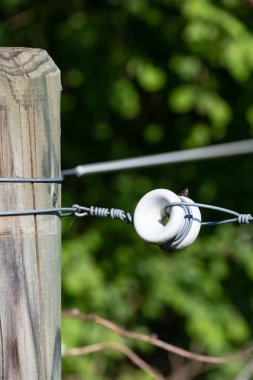 bahar güneşli gün çitte elektrik mera kırsal Güney Almanya güzel manzara