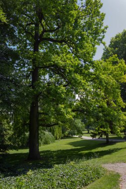 yeşil bahar ağaçlara Şehir Parkı Güney Almanya tarihi manzara