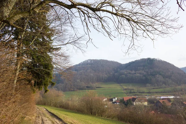 树木自然和分枝在冬季月1月在德国南部的一个阳光日 — 图库照片