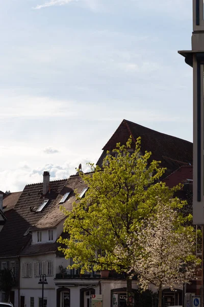 Листя Зелених Весняних Відділення Банкомати Місті Південній Німеччині — стокове фото