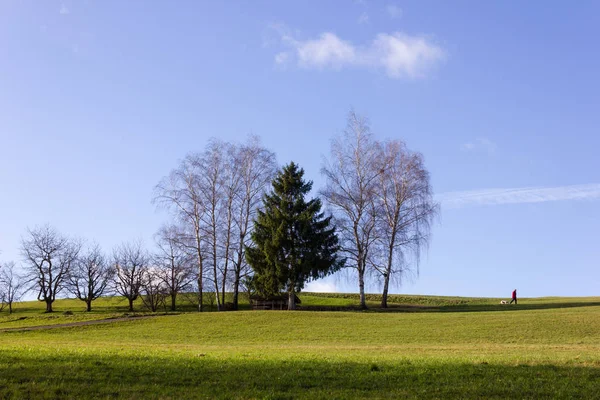 シュトゥットガルトとミュンヘンの南ドイツ田舎都市の近くで 月到来晴れた日に歩いて男と青い空のツリー風景します — ストック写真