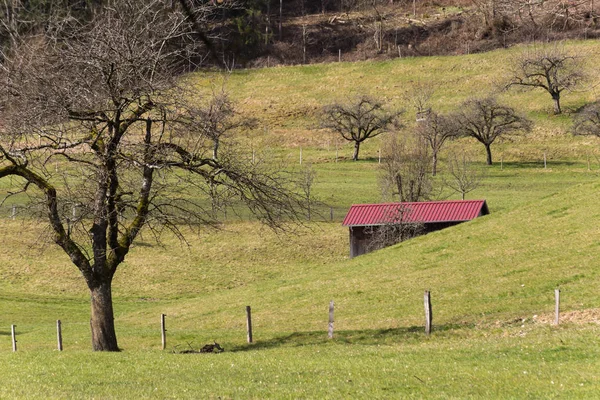 Natura Paesaggio Vagabondaggio Nel Sud Della Germania Campagna Rurale Pasqua — Foto Stock