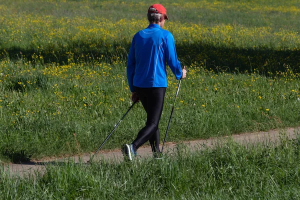Homem Sênior Caminhando Com Paus Turísticos Exercitando Para Saúde — Fotografia de Stock