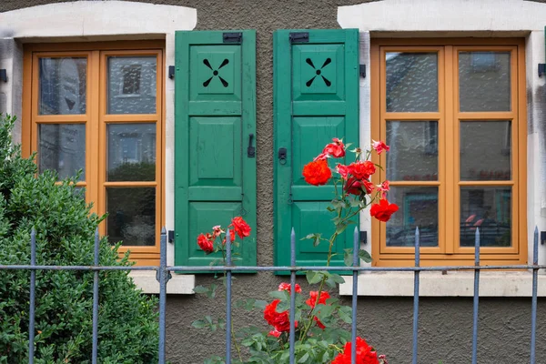 red roses on framework facade with green window shutter of wood in historical city schwaebisch gmuend in south germany