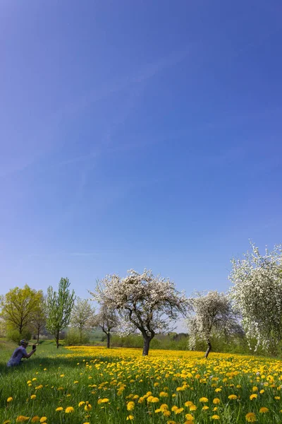 Весенний Цветочный Газон Счастливом Солнечном Апрельском Утре Сельской Местности Южной — стоковое фото