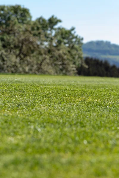 Campo Golf Césped Jugador Hierba Primavera Sur Alemán Campo Vacaciones —  Fotos de Stock