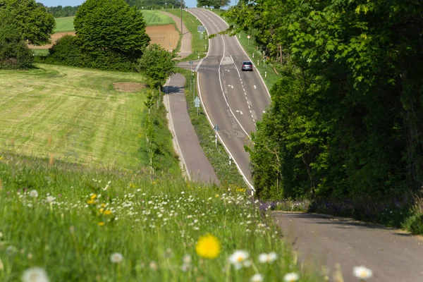 Pista Ciclabile Accanto Alla Strada Con Natura Primaverile Nella Zona — Foto Stock