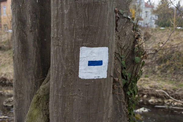 Árvores Parque Cidade Primavera Oriental Com Símbolo Tempo Férias Alemanha — Fotografia de Stock