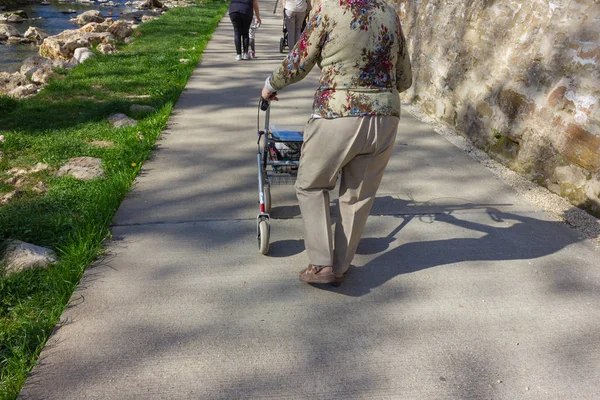 Äldre Dam Med Rollator Springtime Lycklig Eftermiddag Södra Tyskland Riverside — Stockfoto