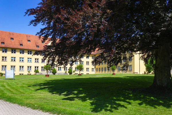 Historische Stadtparkbäume Und Rasen Frühling Süddeutschland — Stockfoto