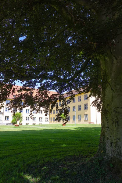 历史悠久的城市公园树木和草坪在春天的德国南部 — 图库照片