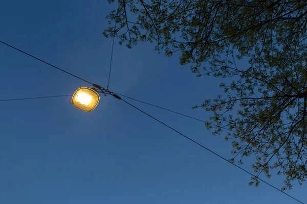 Streetlamp Στην Μπλε Ώρα Ηλιοβασιλέματος Ουρανό Την Άνοιξη Βράδυ Διακοπές — Φωτογραφία Αρχείου