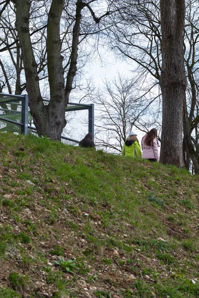 Alberi Nel Parco Cittadino Nella Primavera Orientale Con Simbolo Nel — Foto Stock