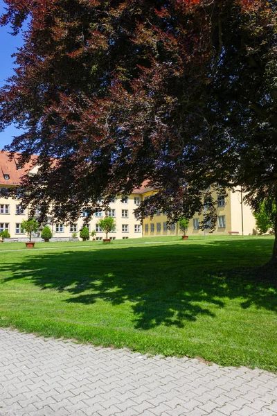 Historiska Staden Parkträd Och Gräsmattan Våren Södra Tyskland — Stockfoto