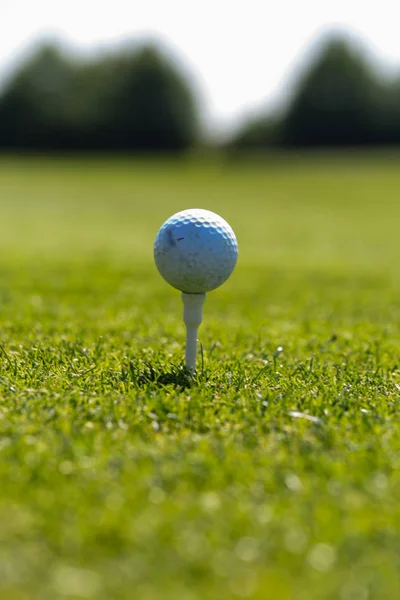 Golf Course Lawn Grass Ball Springtime Landscape South Germany Countryside — Stock Photo, Image