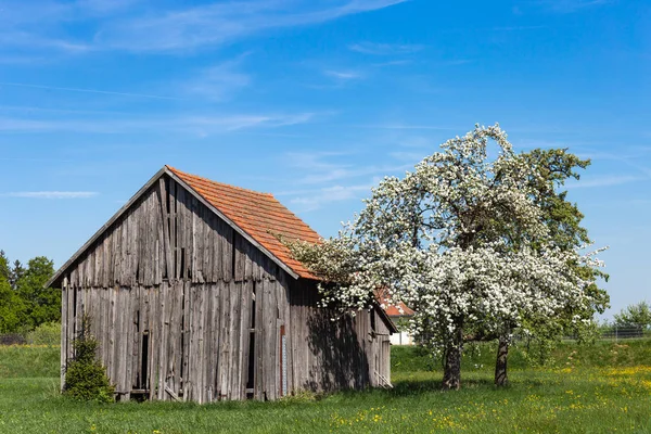 Vecchia Capanna Legno Nel Sud Della Germania Primavera Cielo Blu — Foto Stock