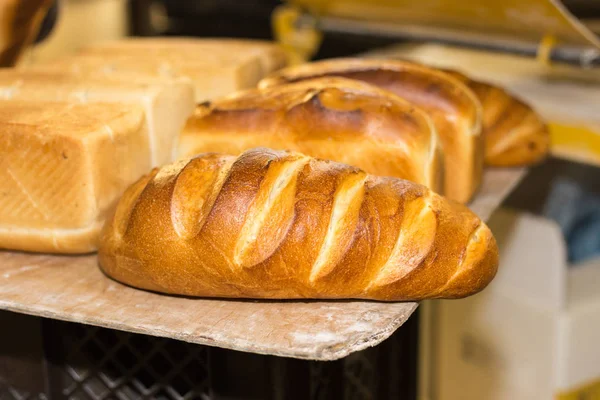 baking pastries and bread in an oven with gold brown delicious colors at a bakery in south germany