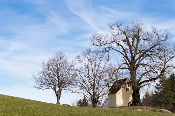 Cappella Facciata Dettagli Una Vecchia Quercia Vacanza Wanderlust Cielo Blu — Foto Stock