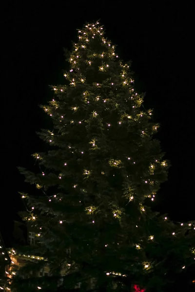 Weihnachtliche Neonbeleuchtung Sterne Und Weihnachtsbäume Auf Dem Historischen Stadtmarkt Süddeutschland — Stockfoto