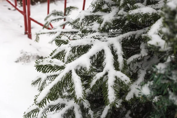 Снегопад Рождественской Площади Декабре Историческом Городе Южной Германии Вблизи Городов — стоковое фото
