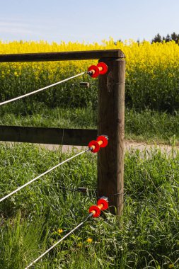bahar güneşli gün çitte elektrik mera kırsal Güney Almanya güzel manzara