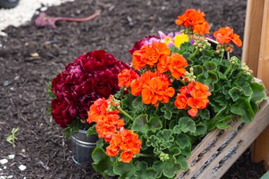 Çiçek buketleri genel direği, Güney Almanya'da yer.