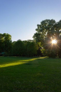 Güneş Park'ta bir şehir bahar akşam günbatımı üzerinde Güney Almanya'da stuttgart yakınındaki şehrin tarihi bölgesi