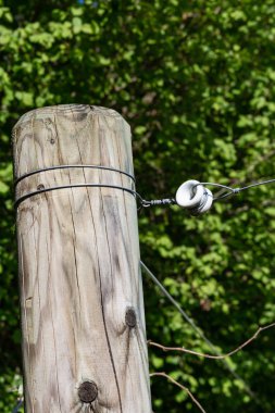 bahar güneşli gün çitte elektrik mera kırsal Güney Almanya güzel manzara