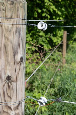 bahar güneşli gün çitte elektrik mera kırsal Güney Almanya güzel manzara