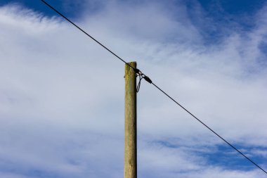 Powerpole Aralık mavi gökyüzü şehir Münih ve stuttgart yakınındaki güney Almanya kışın üzerinde