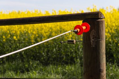 bahar güneşli gün çitte elektrik mera kırsal Güney Almanya güzel manzara