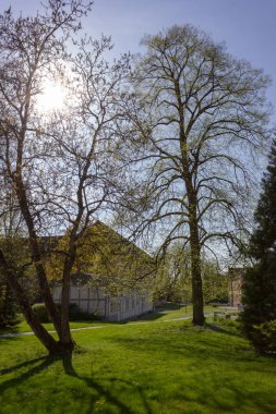 Park ağaçlar ve dalları ile yeşillik sprintime güneşli güney Almanya mutlu tarihi şehir ve sıcak Güney rüzgarları