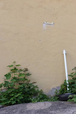 arka bahçe vintage cephe ilkbaharda Güney Almanya Eski bina