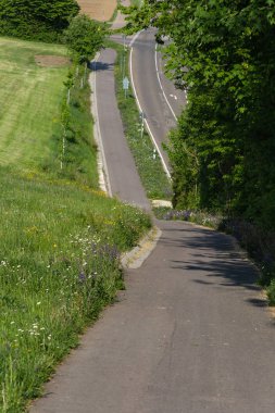 Bikeway yol güney Almanya alan bahar doğa ile yanındaki