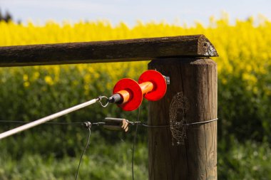 bahar güneşli gün çitte elektrik mera kırsal Güney Almanya güzel manzara