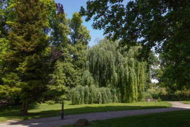 yeşil bahar ağaçlara Şehir Parkı Güney Almanya tarihi manzara